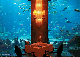 迪拜亚特兰蒂斯Ossiano 海底餐厅