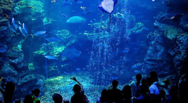 京都水族馆