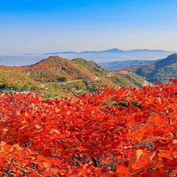 竹林长寿山景区