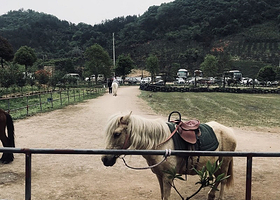 下渚湖康城野郊户外营地