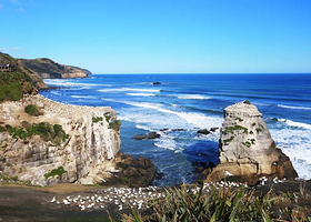 新西兰奥克兰鸟岛