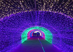 香树花城灯光节