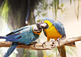 超级萌物厦门店