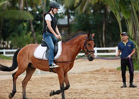 星博旅行（小骑士）国际马术中心