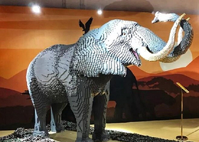 濒危动物环保展-海口站