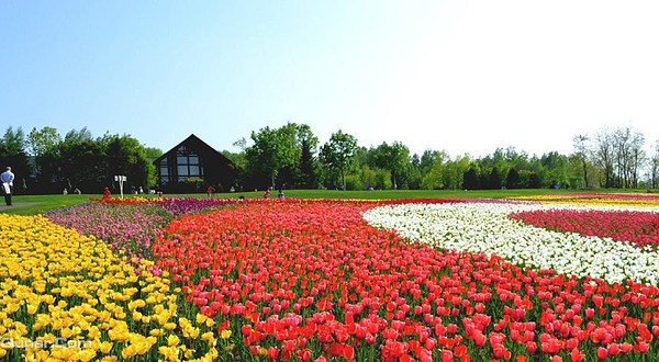 国营泷野铃兰丘陵公园