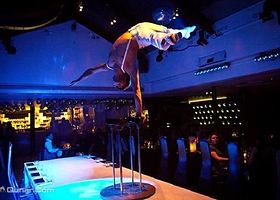 黄金海岸吸血鬼餐厅