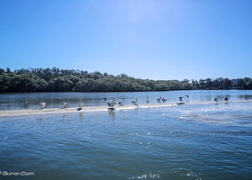 黄金海岸翠儿河