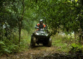 渡头沙滩车乡村之旅