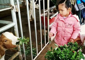 西湖区德人牧场