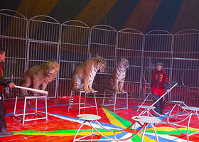 开原冰雪大世界