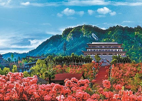 大别山映山红生态文化大观园