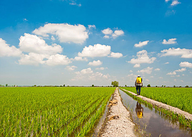 马来西亚适耕庄