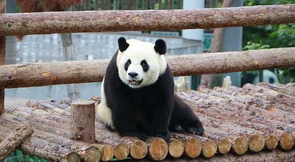 大连森林动物园