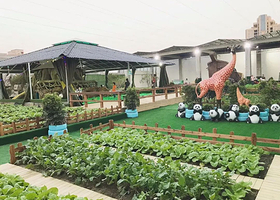 COCO天空农场(中大店)