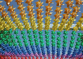 燕郊郁金香花卉文化节