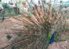 三百园（中国/邯郸）