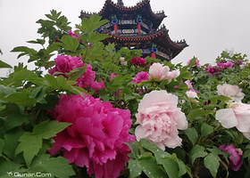 童梦香村四季亲子乐园