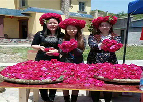 花之恋玫瑰文旅园