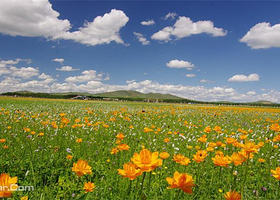 中都草原花田草海生态农业公园