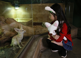 Zoolung Zoolung 室内动物园（高阳市）