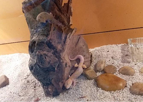 信阳龙都海洋馆