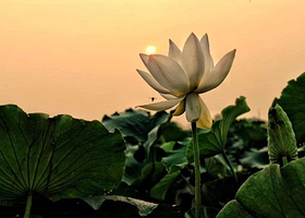 云水湾湿地公园