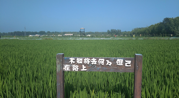 大洼县
