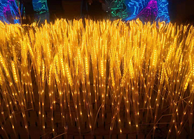 大理网红星空馆