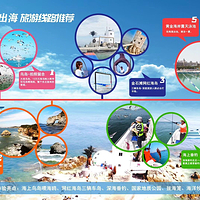金石滩海钓喂海鸥
