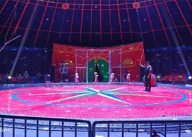 塔湾兴顺夜市国际大马戏