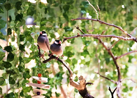 艾尼萌室内动物主题公园