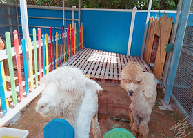 长寿湖松鼠部落亲子乐园