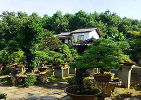 抱朴谷森林公园