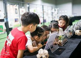 佛山近自然生态昆虫展