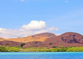 林卡岛-RINCA ISLAND