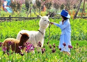 常州星宠屋萌宠乐园（吾悦店）