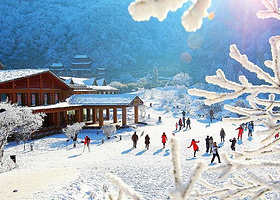 金佛山西坡景区