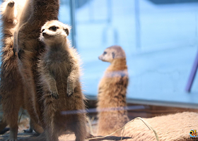 福州侏罗纪萌宠园