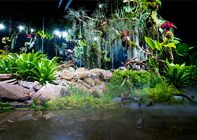 Hello动物星球雨林乐园