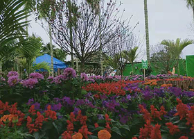 琼海龙寿洋蝴蝶谷（蝶恋花主题乐园）