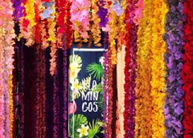 樱花树下体验馆