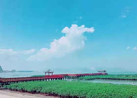 红树林湿地公园