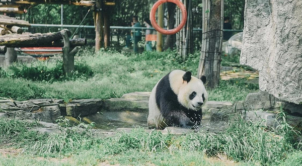 雅戈尔动物园