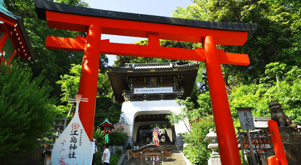 日本江岛神社