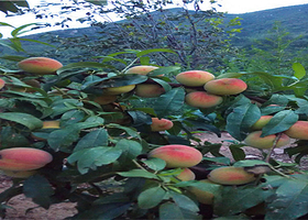 北方祖山风景区