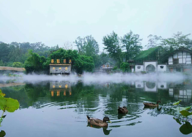 青城湾湿地庄园