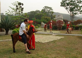 江美德保矮马风情园