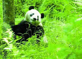 片口自然保护区