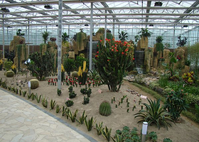 杨柳青园艺科技博览园